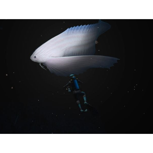 Nintendo Endless Ocean Luminous