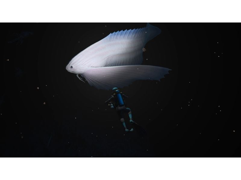 Nintendo Endless Ocean Luminous