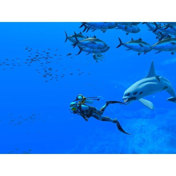 Nintendo Endless Ocean Luminous