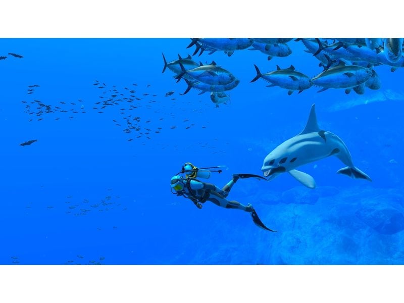 Nintendo Endless Ocean Luminous