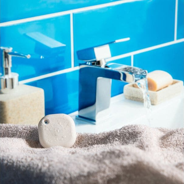 Shelly Smart Home Blu Button Tough 1 Elfenbein