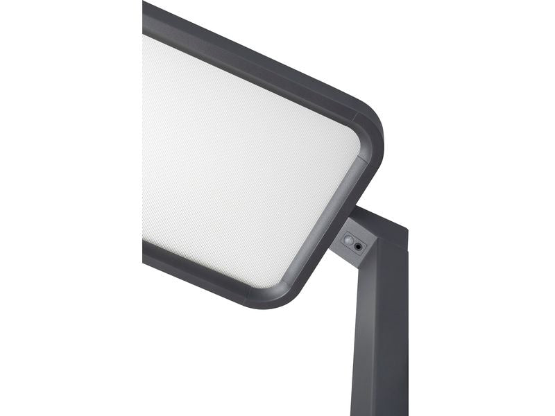 Hansa Bürostehleuchte LED Saphir 80 W, 4000 Kelvin, Anthrazit