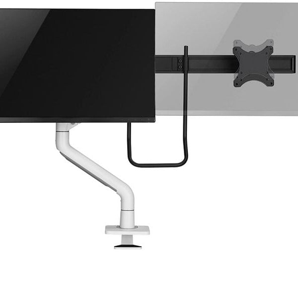 NEOMOUNTS Tischständer DS75S-950 WH2 bis 16 kg – Weiss