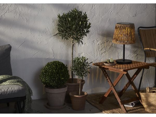 Star Trading Tischleuchte Solar Cesta, 48 cm, Braun/Schwarz