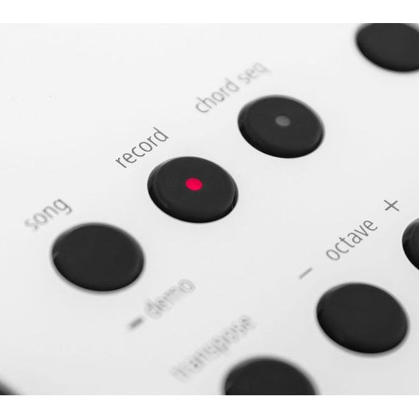 Roland Keyboard GO:KEYS 5 Weiss