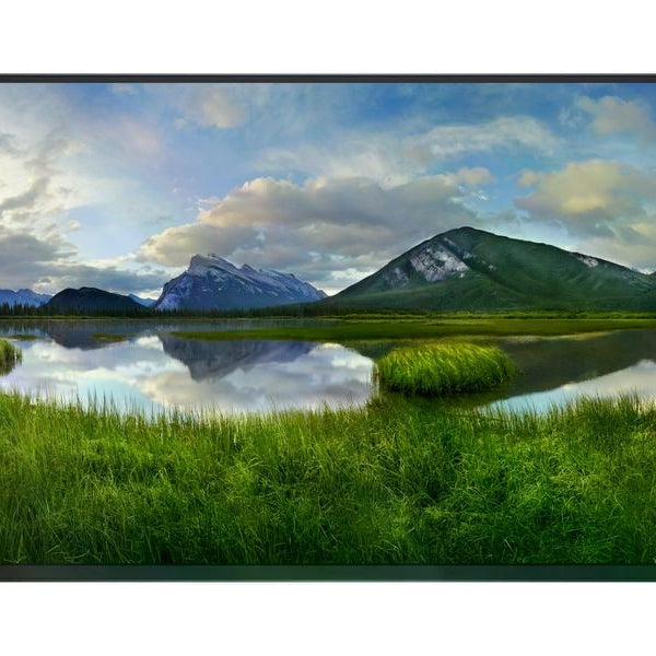 DELL Monitor P2425HE WOST ohne Standfuss