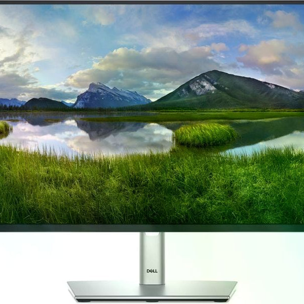 DELL Monitor P2425HE