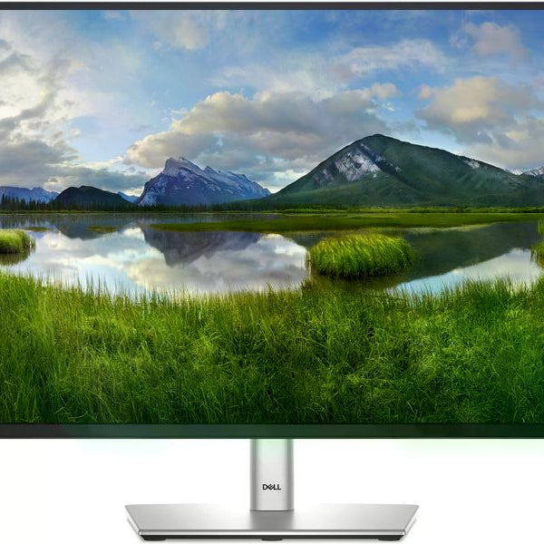 DELL Monitor P2425