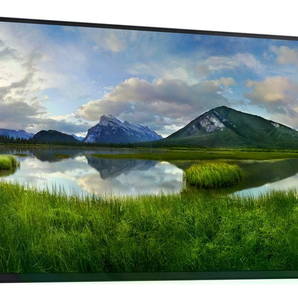 DELL Monitor P2425H WOST ohne Standfuss