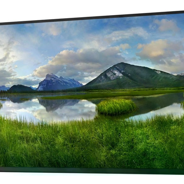 DELL Monitor P2425H WOST ohne Standfuss