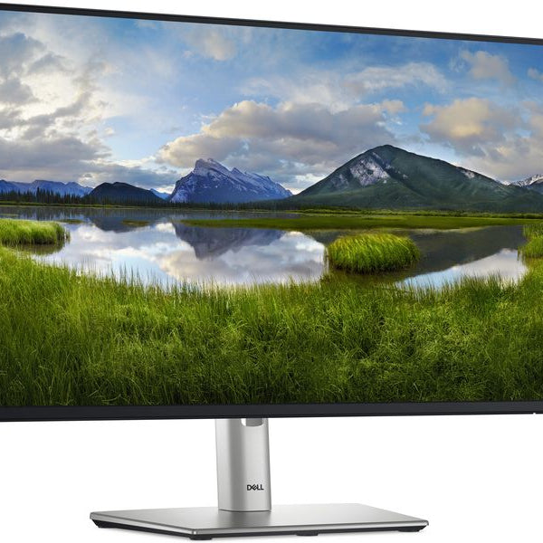 DELL Monitor P2425HE