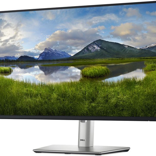 DELL Monitor P2425H
