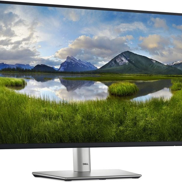 DELL Monitor P2425E