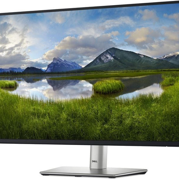 DELL Monitor P2425