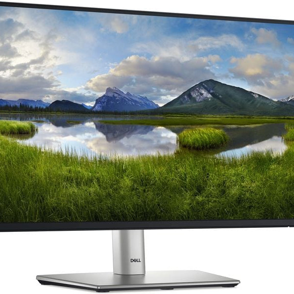 DELL Monitor P2225H