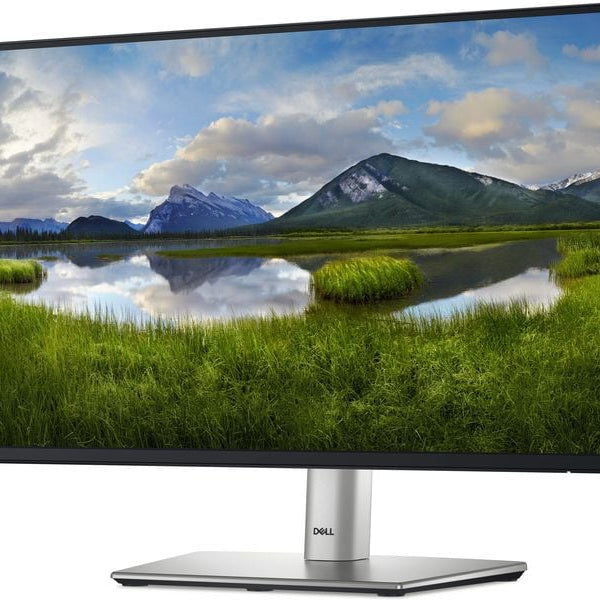 DELL Monitor P2225H