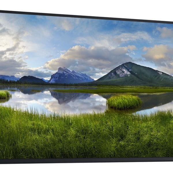 DELL Monitor P2725H WOST ohne Standfuss