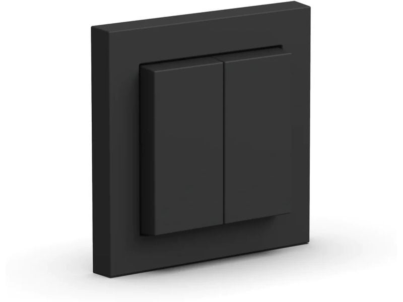 senic Friends of Hue Schalter Mattschwarz