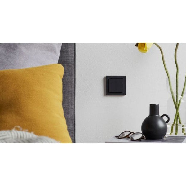 senic Friends of Hue Schalter Mattschwarz