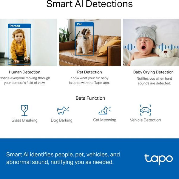 TP-Link Netzwerkkamera Tapo C220