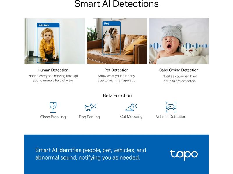 TP-Link Netzwerkkamera Tapo C220
