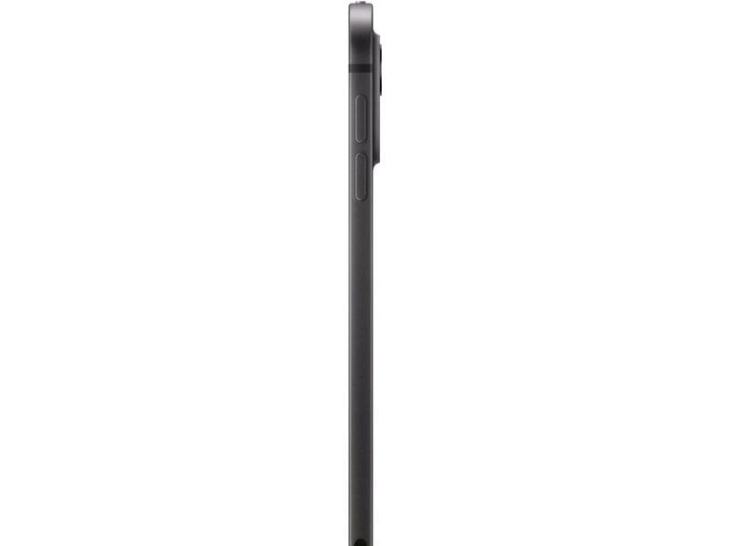 Apple iPad Pro 11" M4 Cellular 2024 1000 GB Space Schwarz