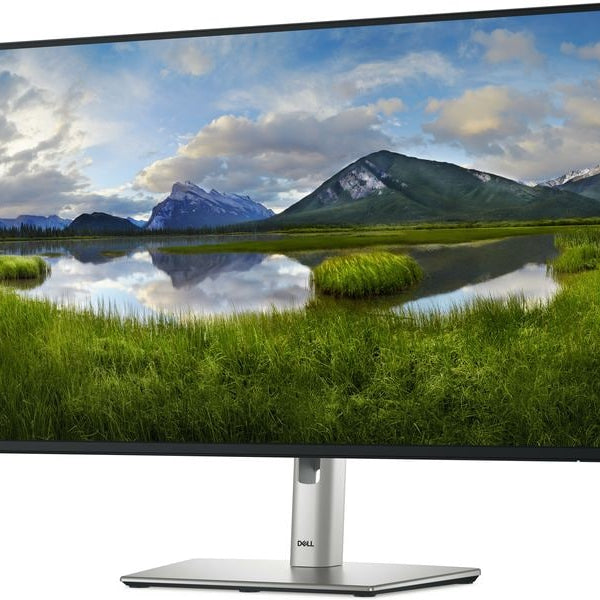 DELL Monitor P2725H