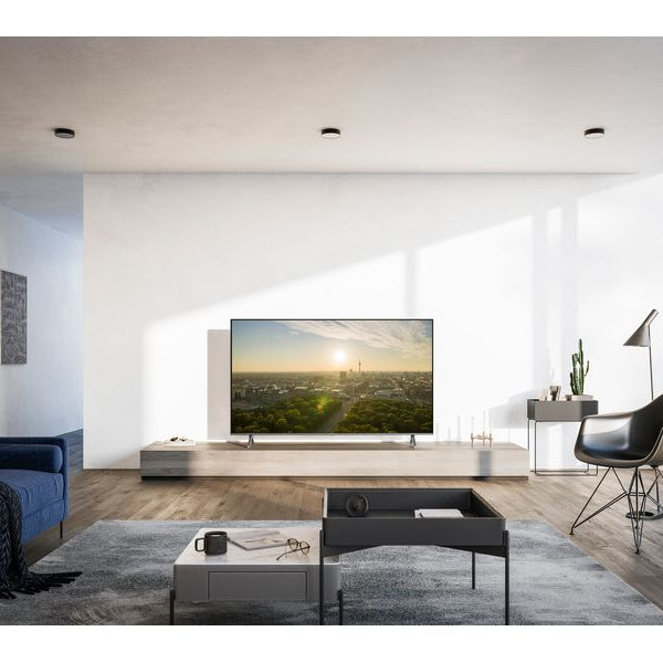 Panasonic TV TV-65W95AEG 65