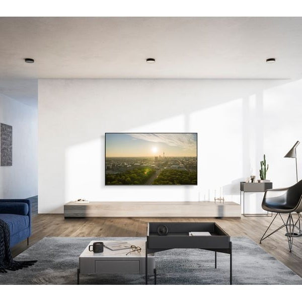 Panasonic TV TV-65W95AEG 65