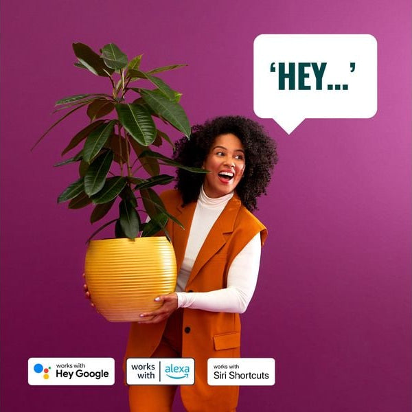 WiZ Smart Plug CH, Matter / WLAN