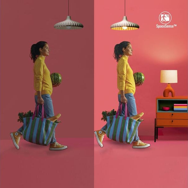 WiZ Smart Plug CH, Matter / WLAN