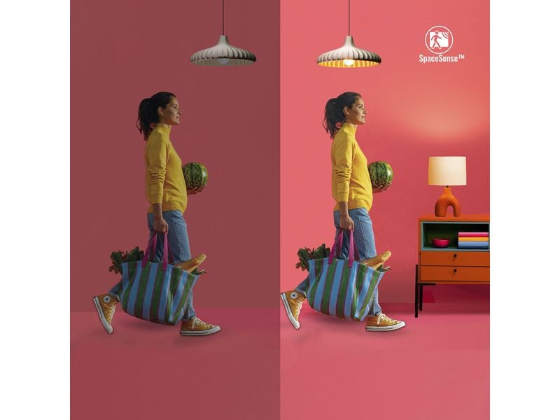 WiZ Smart Plug CH, Matter / WLAN