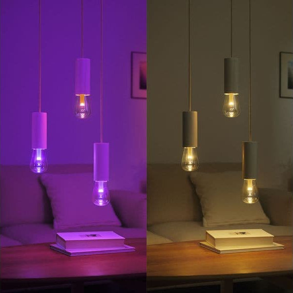 Philips Hue White & Color Ambiance Lightguide Giant Edison ST72 E27