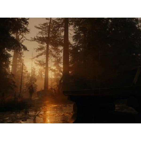 GAME Alan Wake 2 - Deluxe Edition