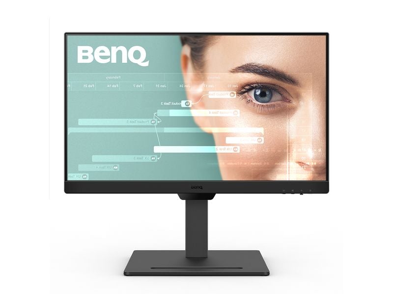 BenQ Monitor GW2490T