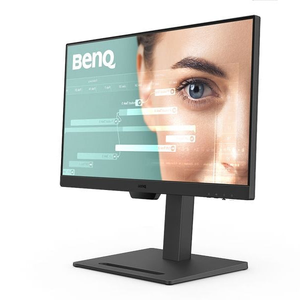 BenQ Monitor GW2490T