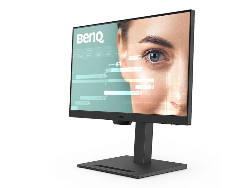 BenQ Monitor GW2490T