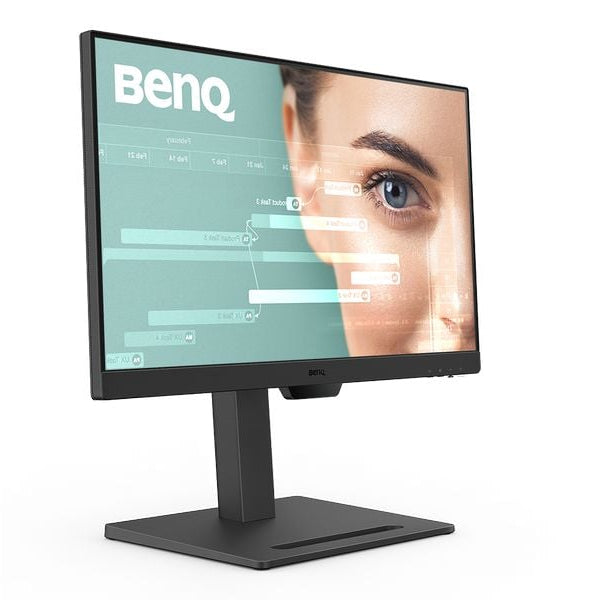 BenQ Monitor GW2490T