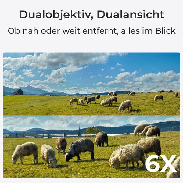 Reolink 4G/LTE-Kamera Trackmix G770 inkl. Solarpanel