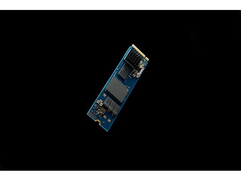 Kingston SSD DC2000B M.2 2280 NVMe 480 GB