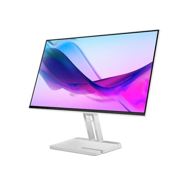 Lenovo Monitor L24i-4A