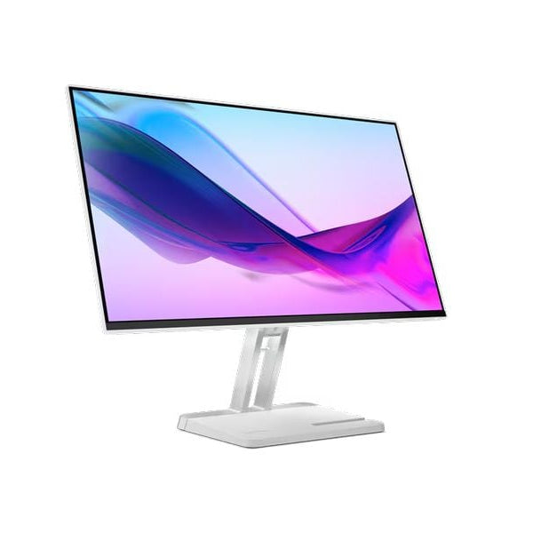 Lenovo Monitor L24i-4A