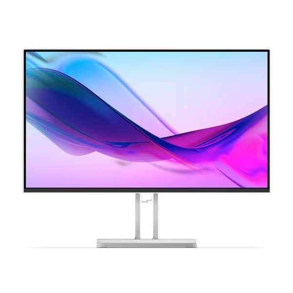 Lenovo Monitor L24i-4A