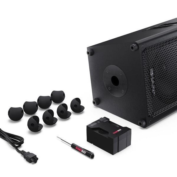 Sharp Bluetooth Speaker CPLS100 10h Akku