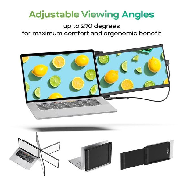 Mobile Pixels Monitor Duex Max DS 14.1