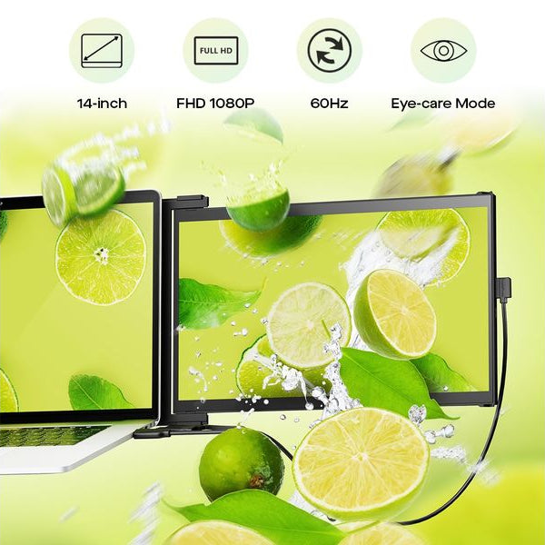 Mobile Pixels Monitor Duex Max DS 14.1