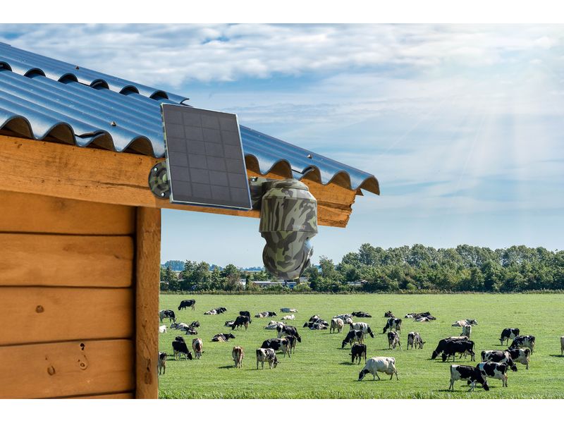 Technaxx Überwachungsset 4G PT Dome TX-290 mit Solarmodul