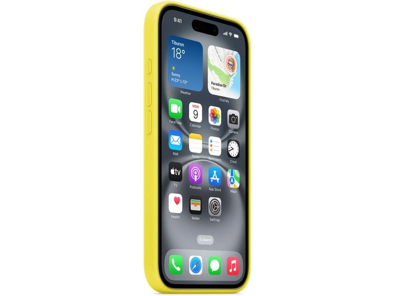 Apple Silicone Case mit MagSafe iPhone 16 Sternfrucht