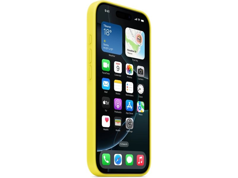 Apple Silicone Case mit MagSafe iPhone 16 Pro Sternfrucht