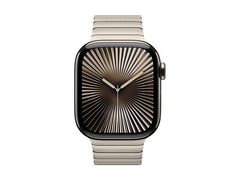 Apple Link Bracelet 42 mm Silber